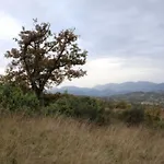 Valdifiori *