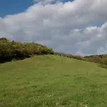 Valdifiori