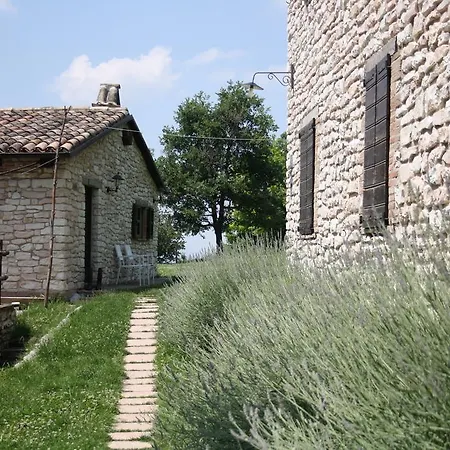 Agriturismo Valdifiori Sassoferrato